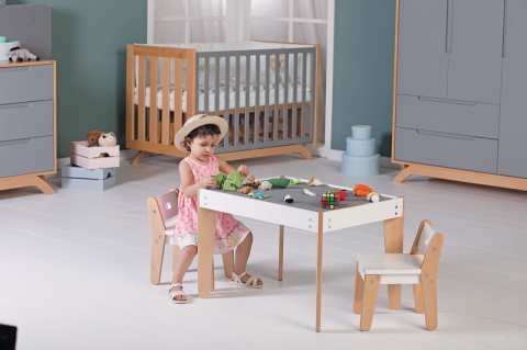 Feno Aktivite Oyun Masası